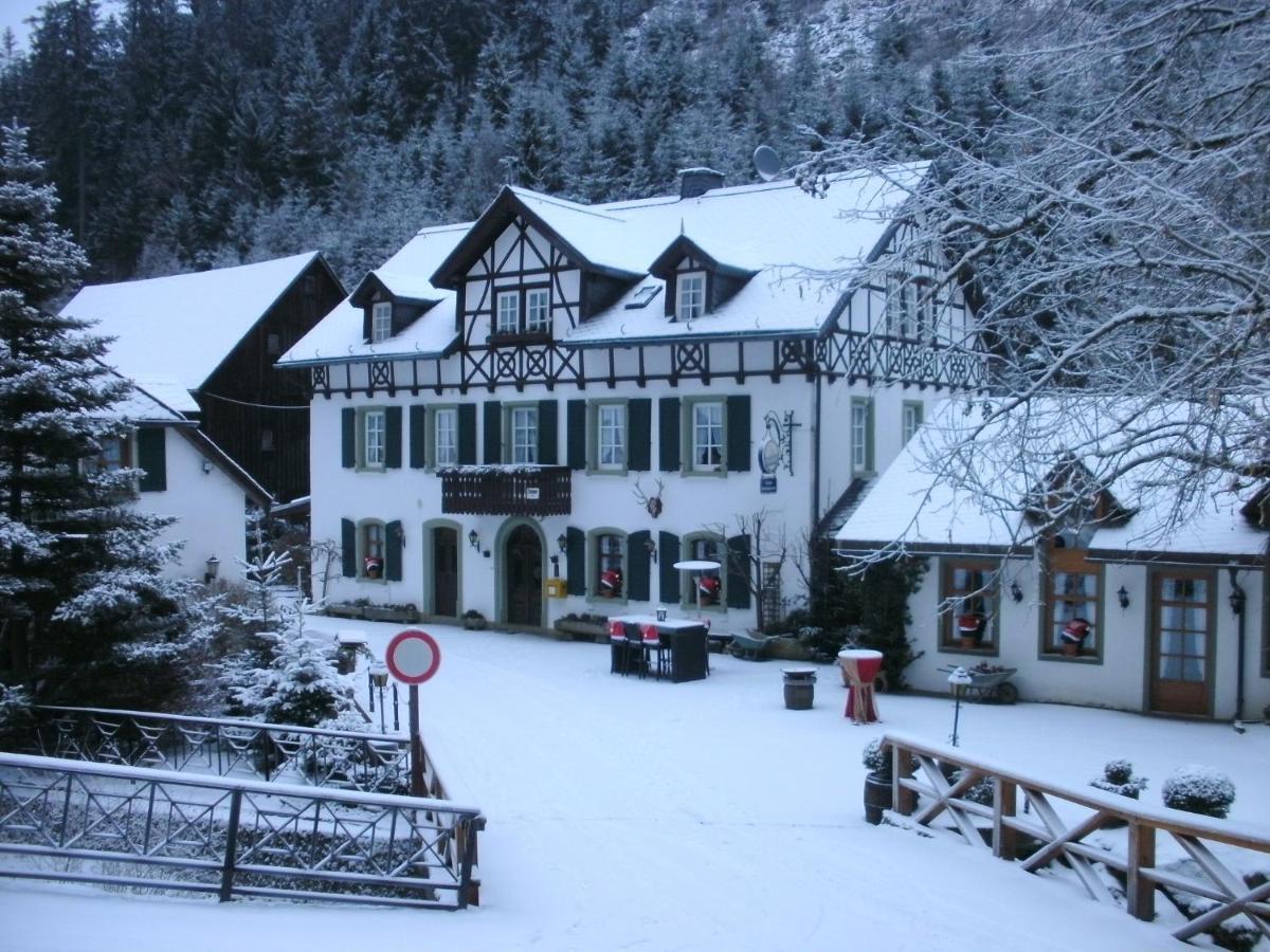 Gasthof Bischofsmuehle Helmbrechts 部屋 写真